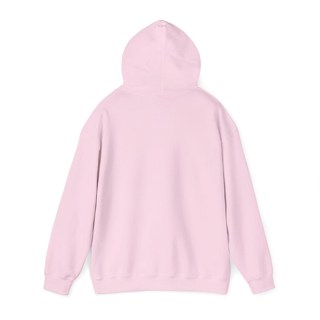 If at First You Don't Succeed, Maybe You Just Suck - Funny Quote - Hooded Sweatshirt