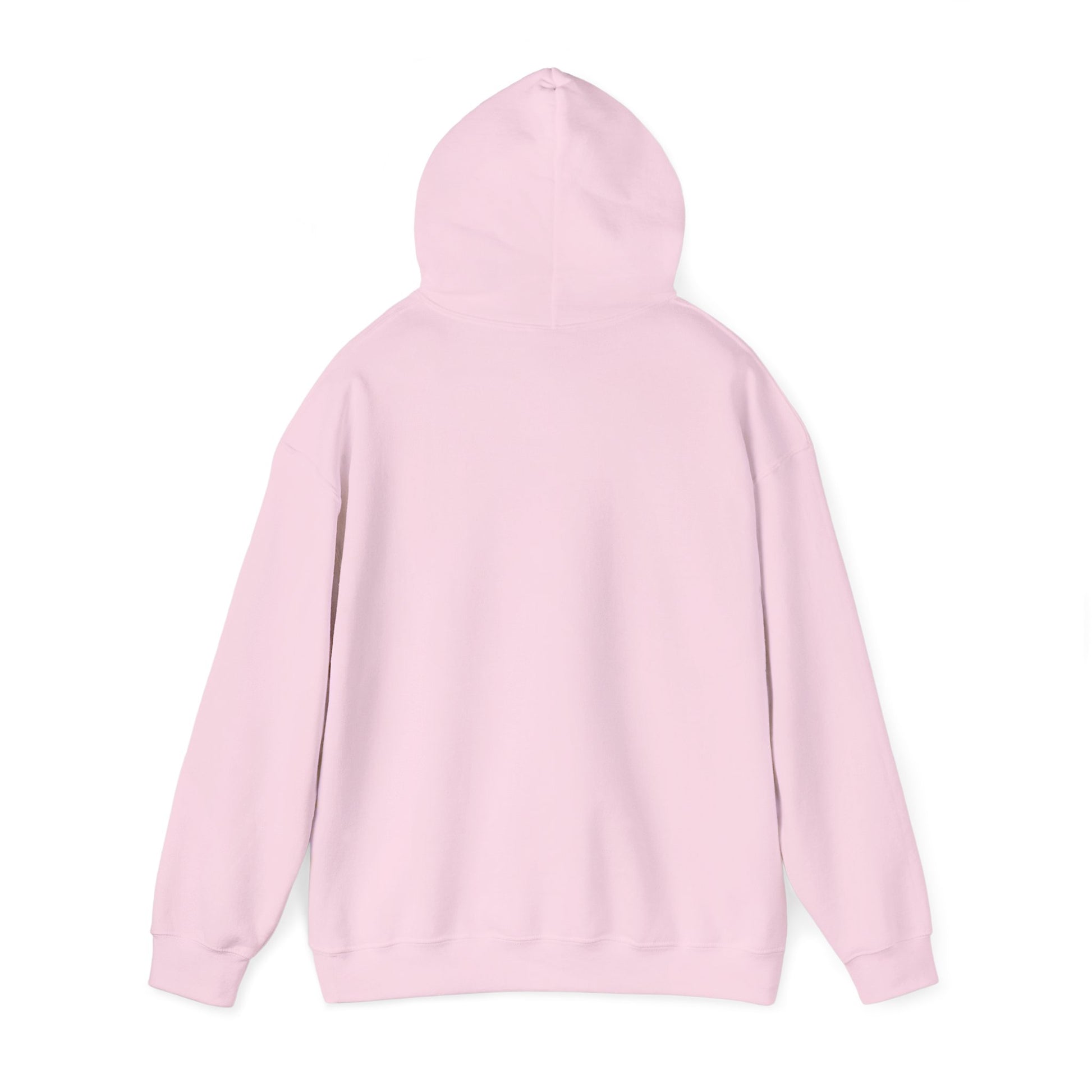 If at First You Don't Succeed, Maybe You Just Suck - Funny Quote - Hooded Sweatshirt