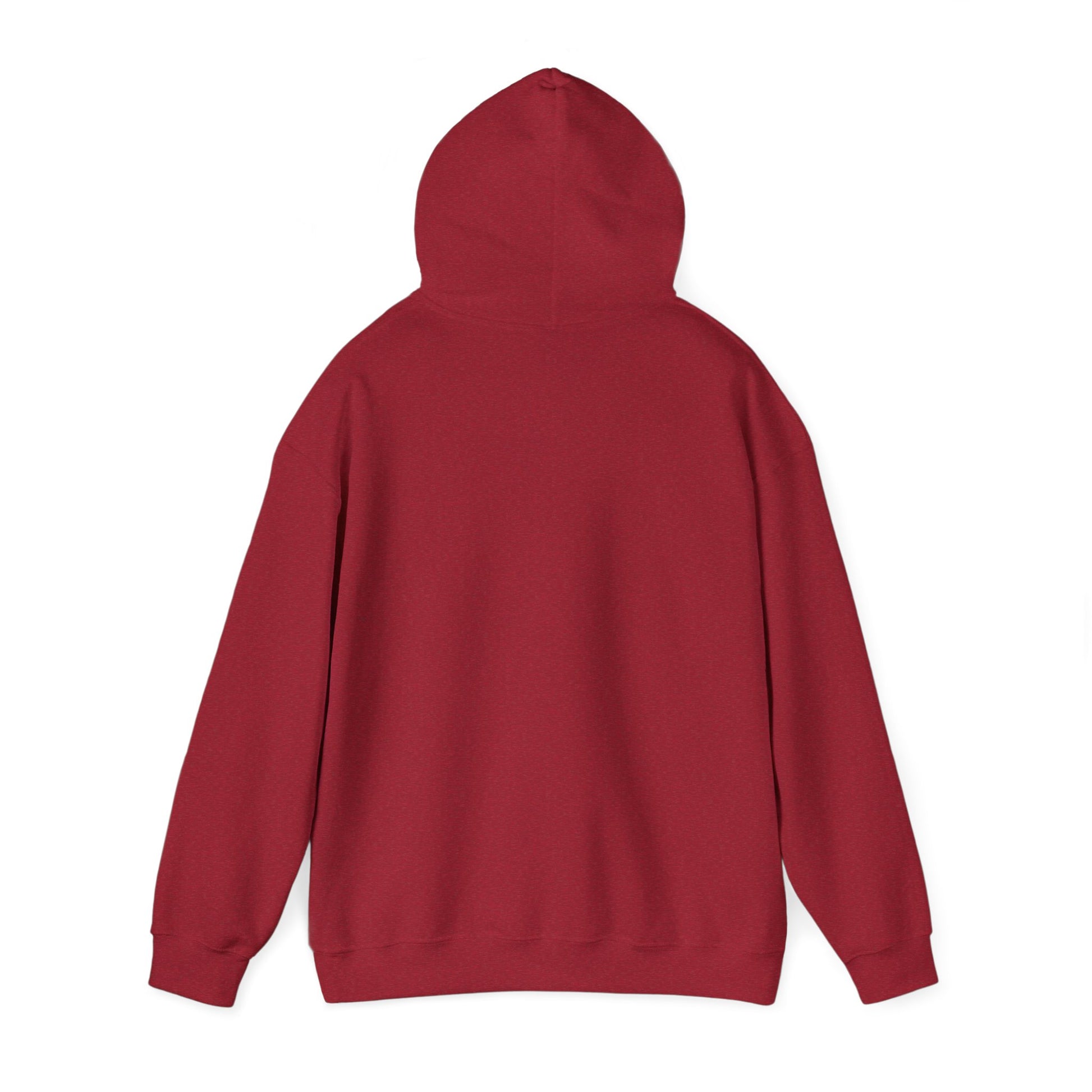 If at First You Don't Succeed, Maybe You Just Suck - Funny Quote - Hooded Sweatshirt