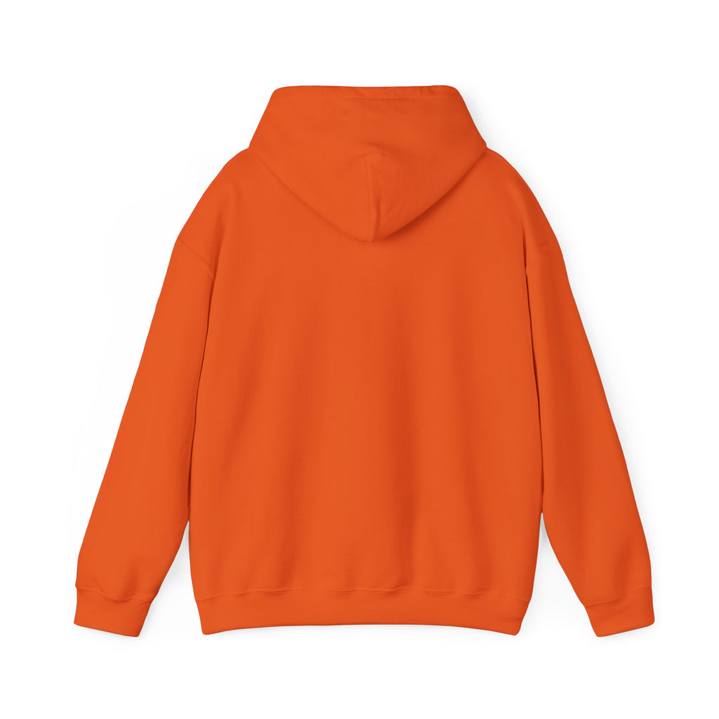 Sometimes I have to remind myself - Unisex Hoodie