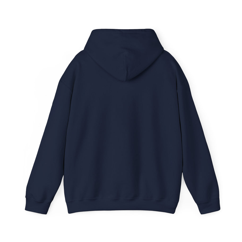 If at First You Don't Succeed, Maybe You Just Suck - Funny Quote - Hooded Sweatshirt