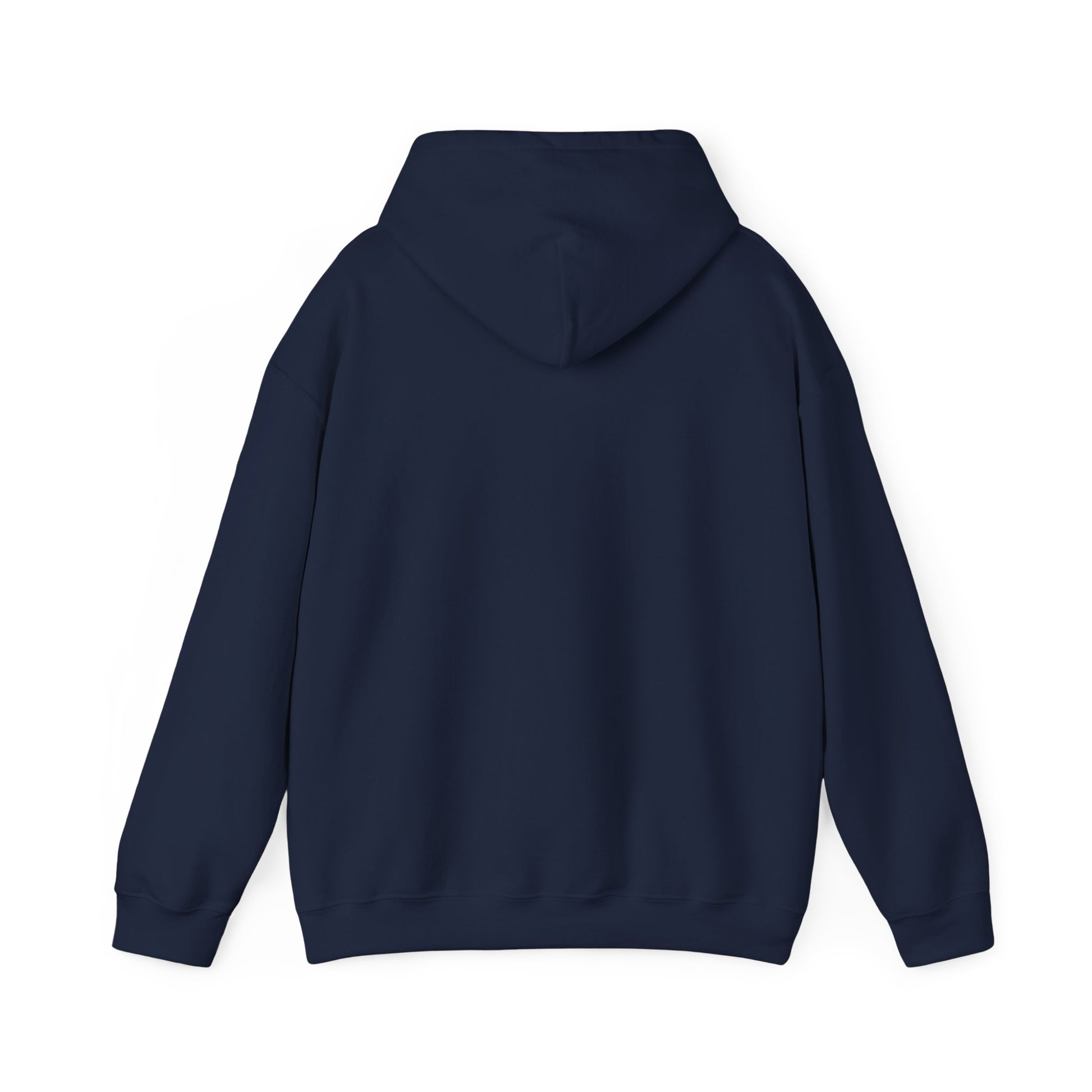 If at First You Don't Succeed, Maybe You Just Suck - Funny Quote - Hooded Sweatshirt