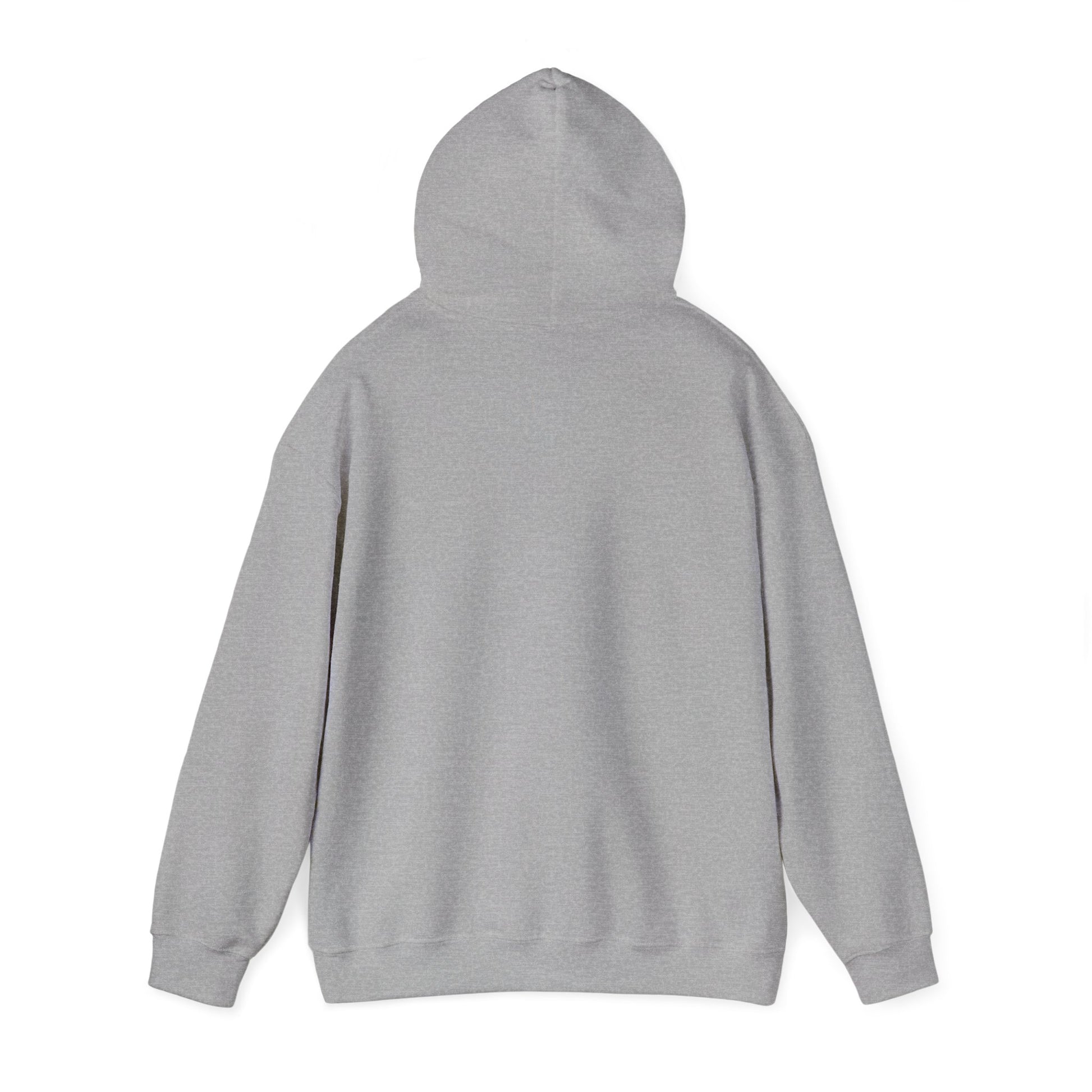 If at First You Don't Succeed, Maybe You Just Suck - Funny Quote - Hooded Sweatshirt
