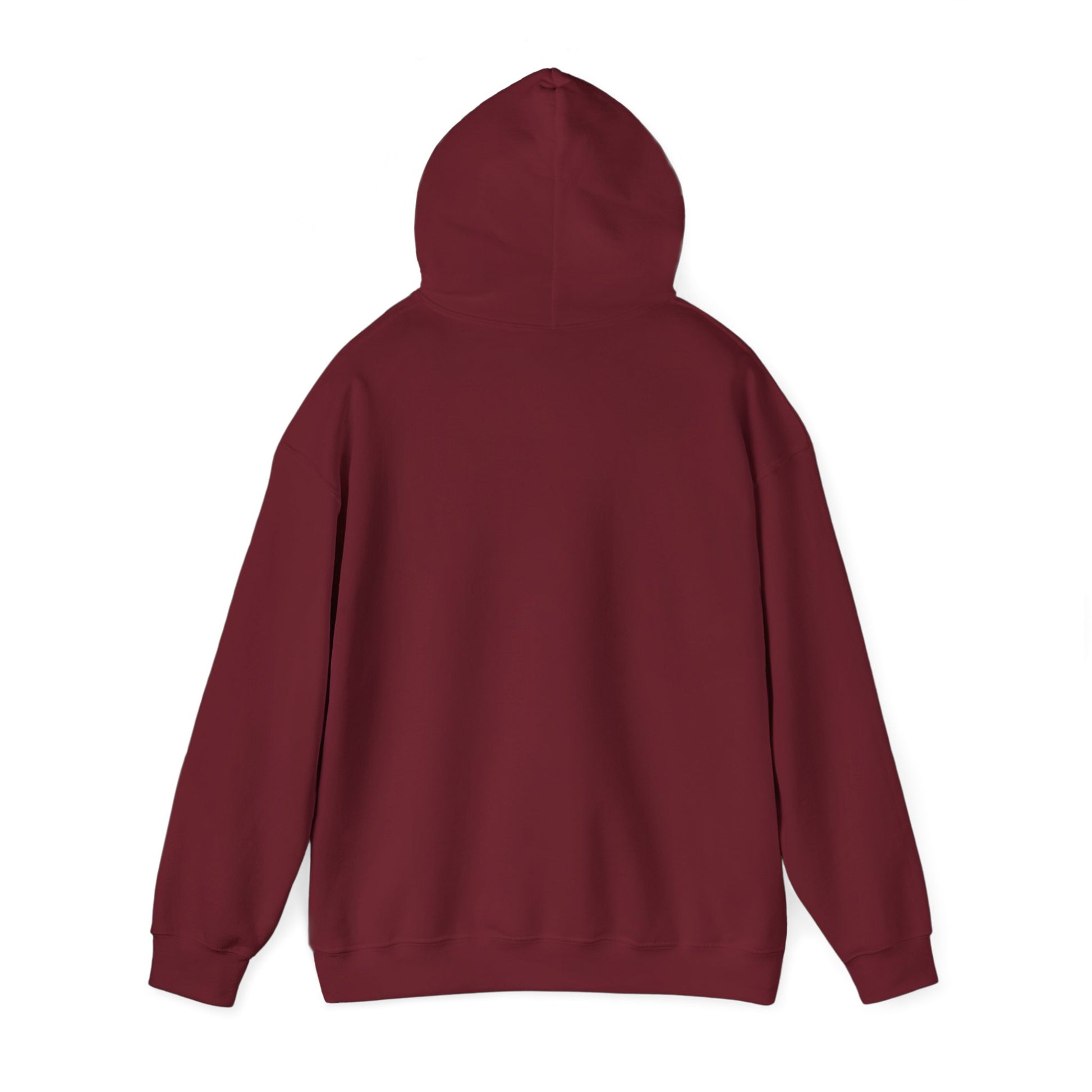 If at First You Don't Succeed, Maybe You Just Suck - Funny Quote - Hooded Sweatshirt