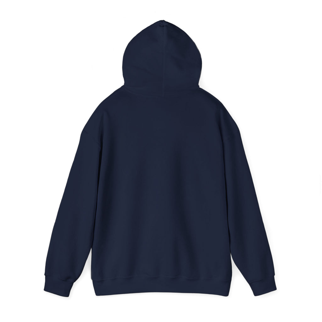 If at First You Don't Succeed, Maybe You Just Suck - Funny Quote - Hooded Sweatshirt