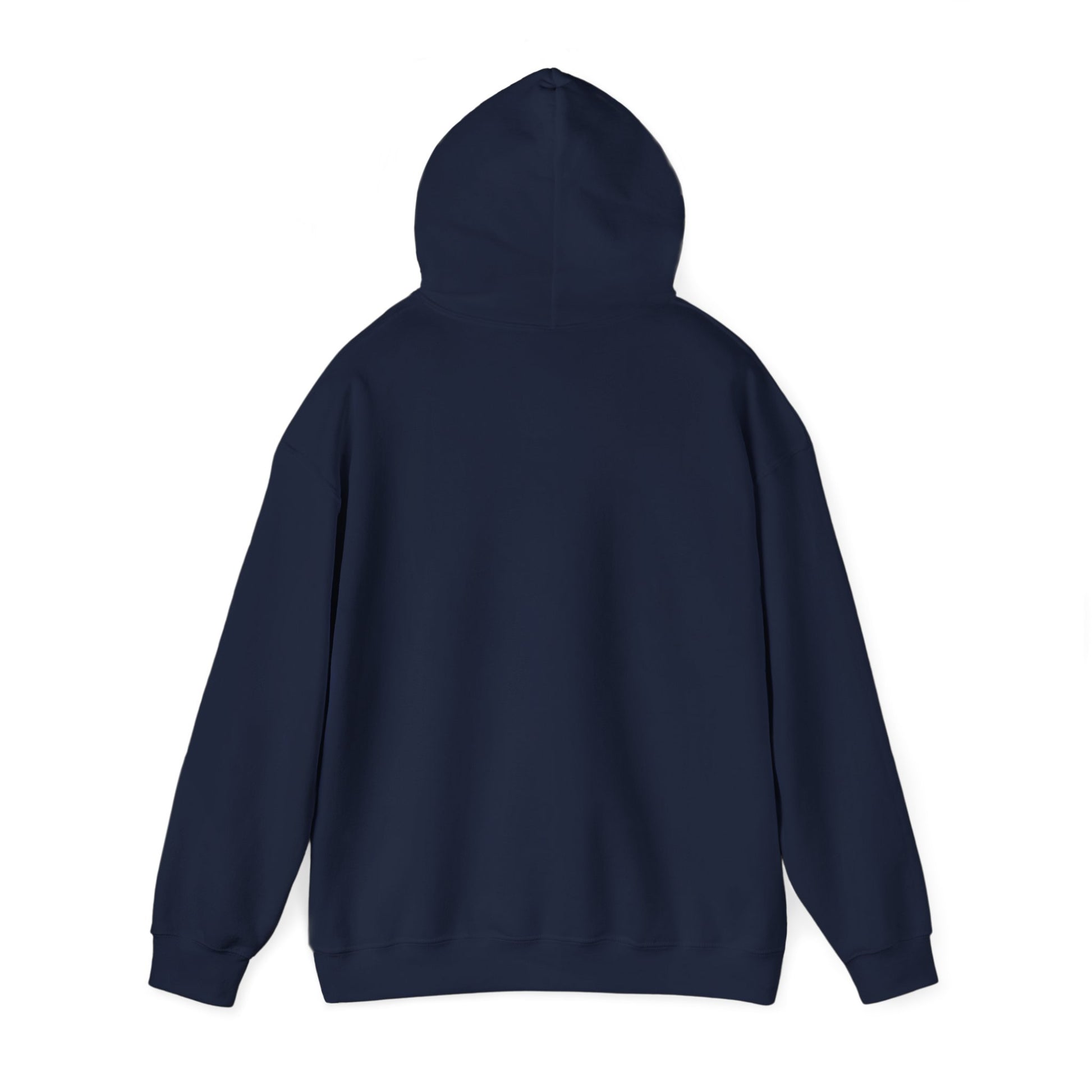 If at First You Don't Succeed, Maybe You Just Suck - Funny Quote - Hooded Sweatshirt
