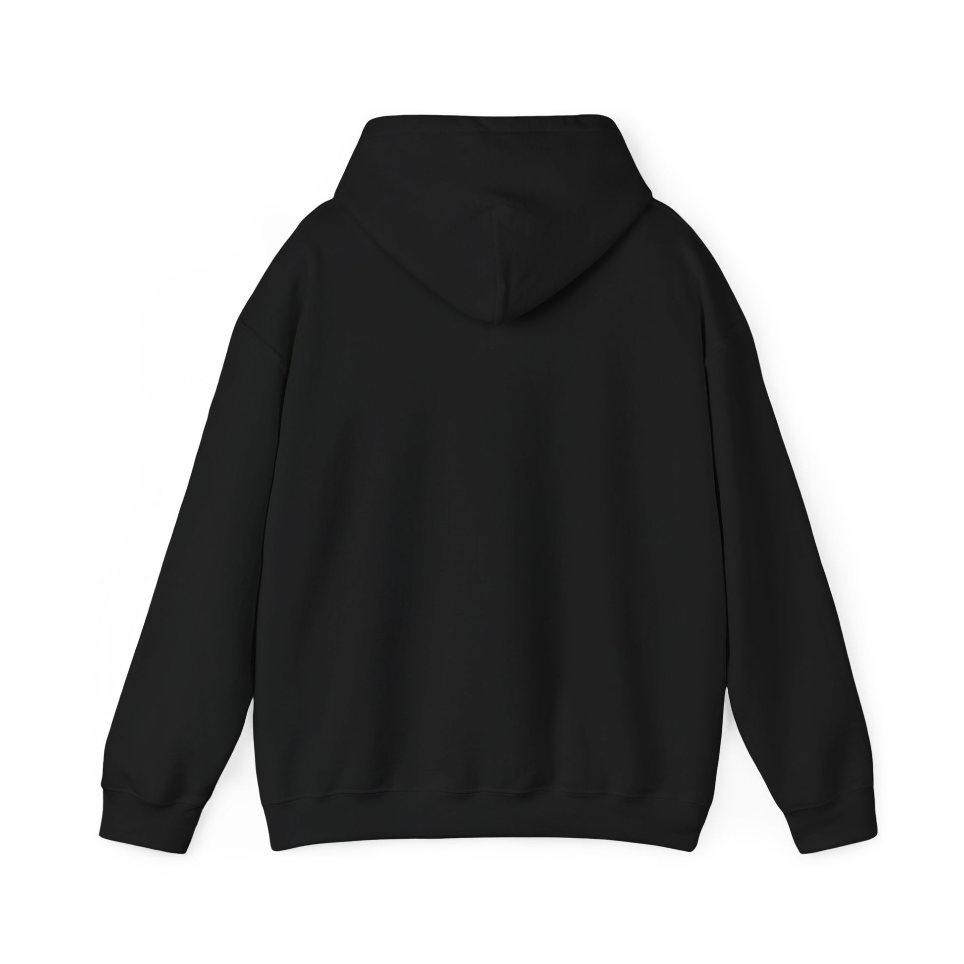 If at First You Don't Succeed, Maybe You Just Suck - Funny Quote - Hooded Sweatshirt