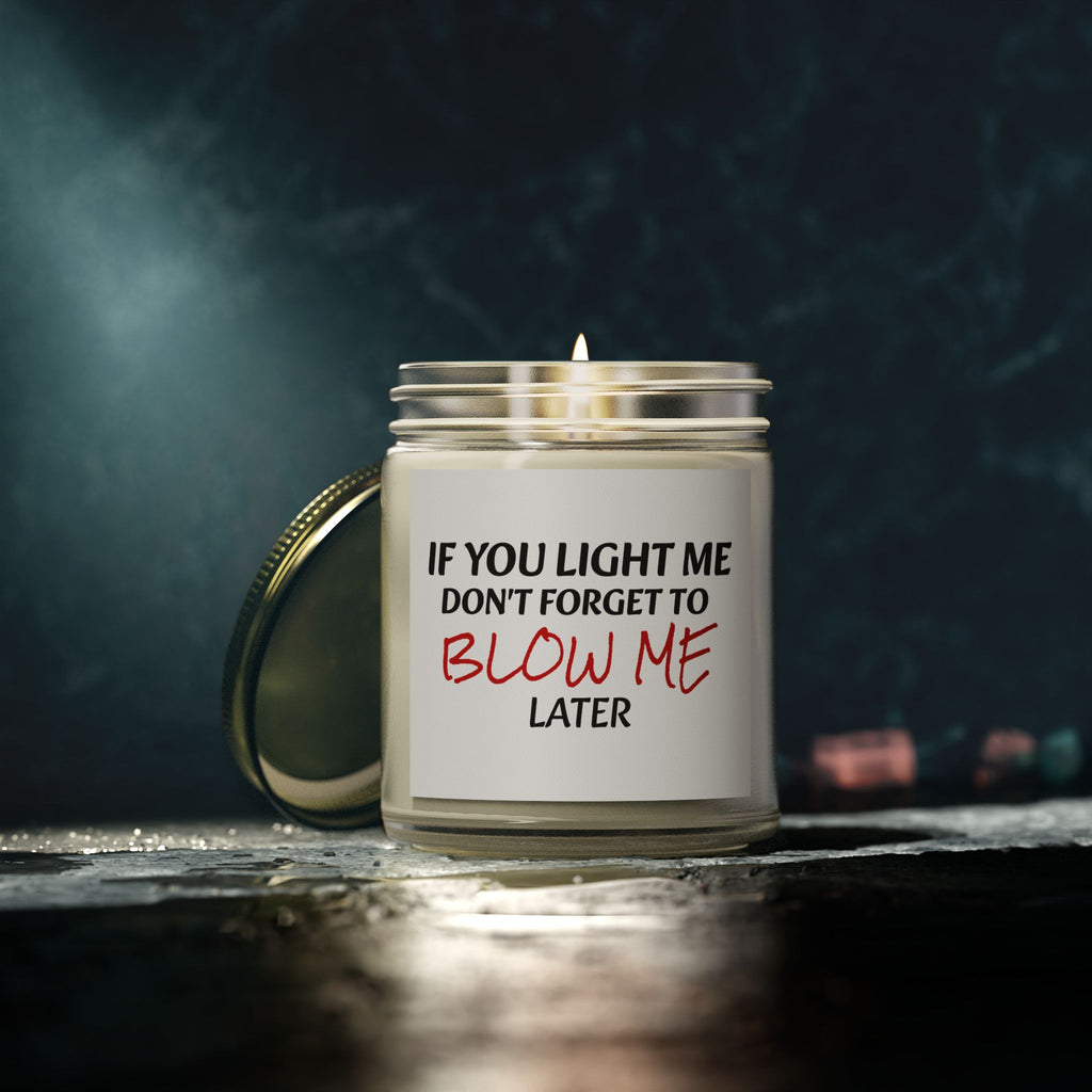If You Light Me, Don't Forget To Blow Me Later - Scented Candles, Coconut Apricot Wax (4oz, 9oz)