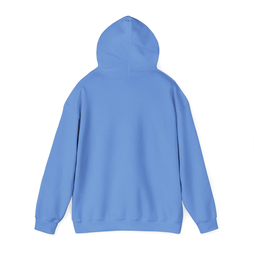 If at First You Don't Succeed, Maybe You Just Suck - Funny Quote - Hooded Sweatshirt