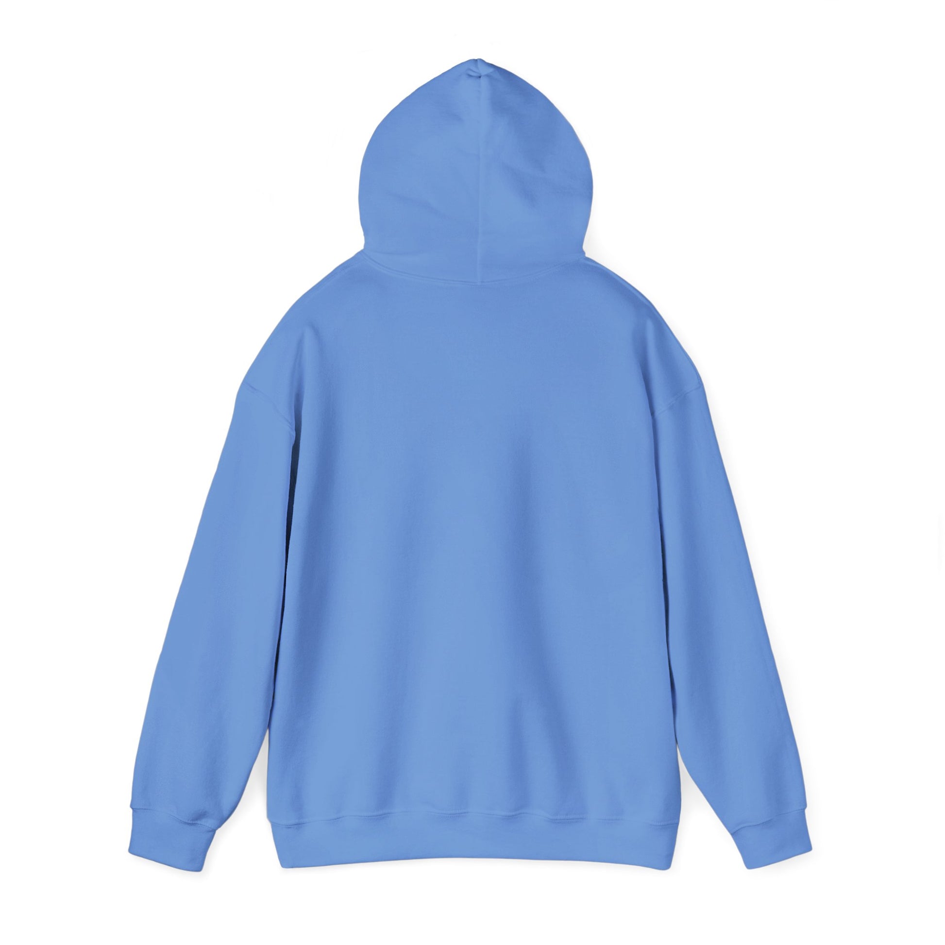 If at First You Don't Succeed, Maybe You Just Suck - Funny Quote - Hooded Sweatshirt