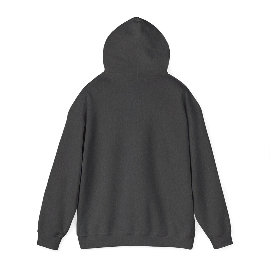 If at First You Don't Succeed, Maybe You Just Suck - Funny Quote - Hooded Sweatshirt