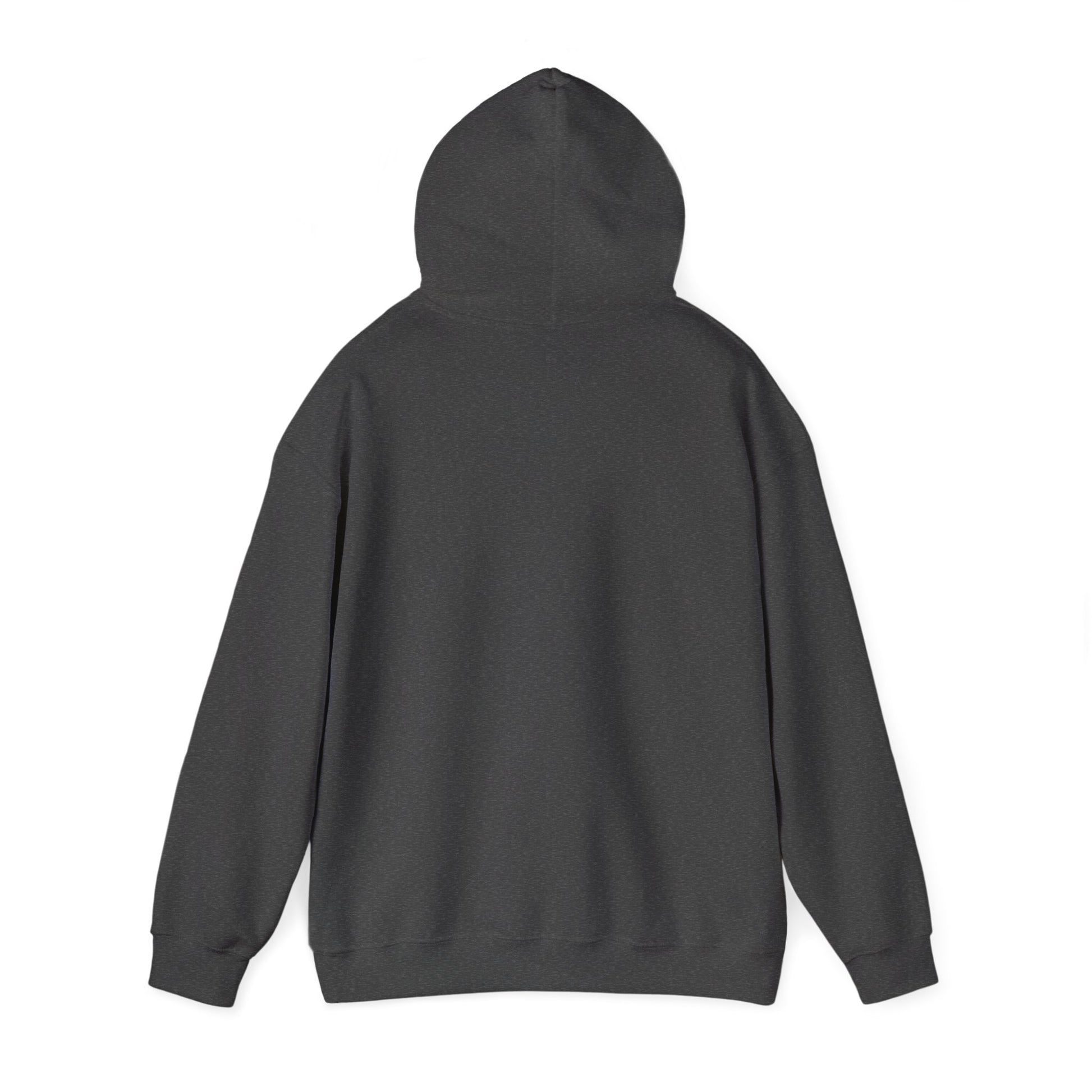 If at First You Don't Succeed, Maybe You Just Suck - Funny Quote - Hooded Sweatshirt