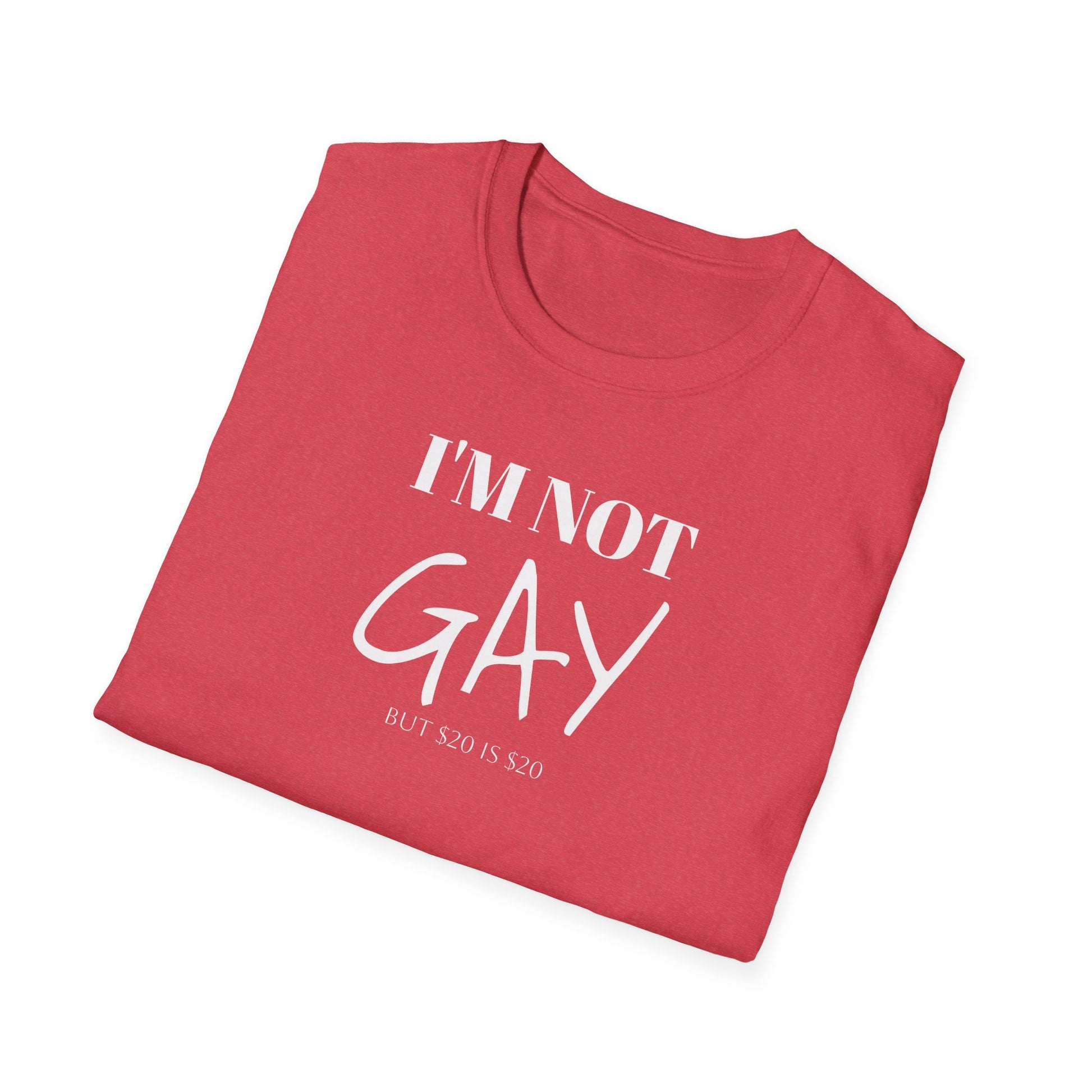I'm Not G*y - But $20 is $20
