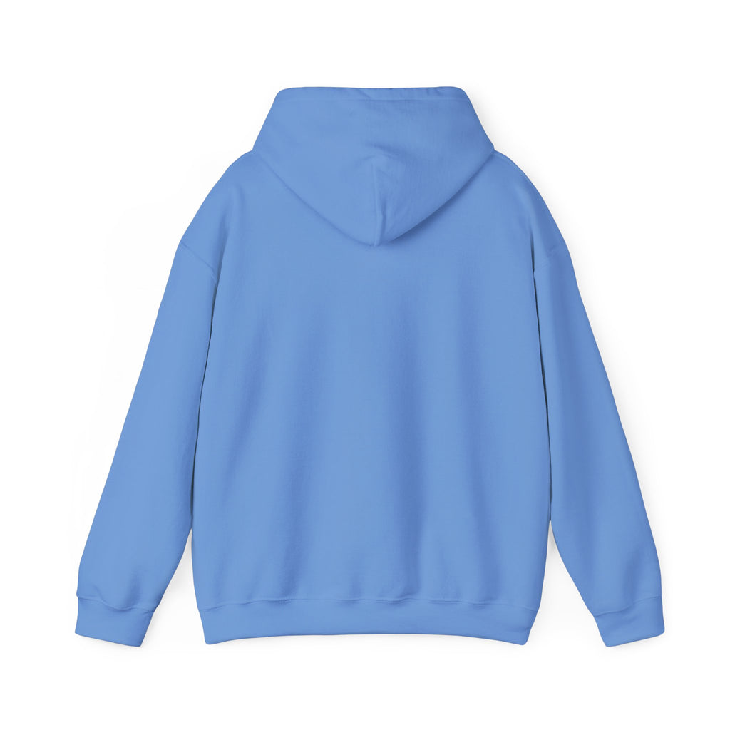If at First You Don't Succeed, Maybe You Just Suck - Funny Quote - Hooded Sweatshirt